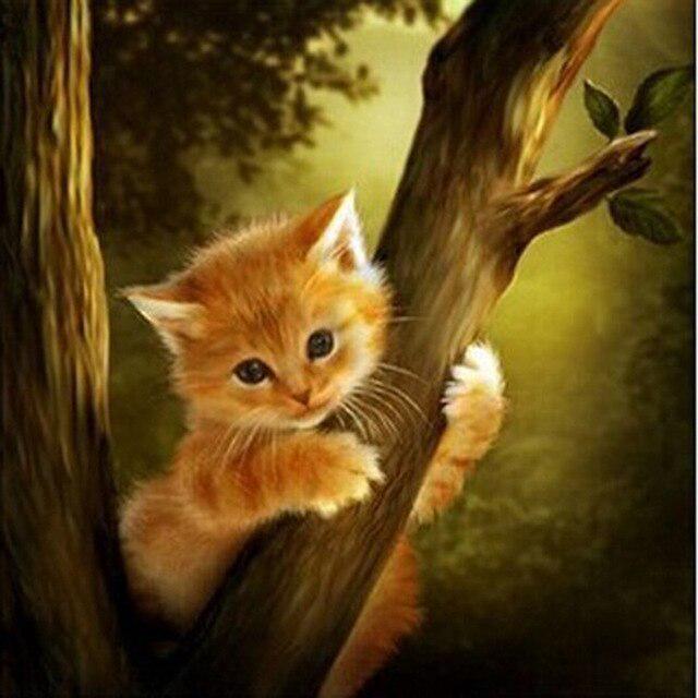 Алмазная живопись кошки