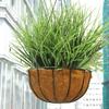5Pcs Artificial Grass Realistic 7 Branch Simulation Artificial Grass Flower Arrangement for Home Decoration