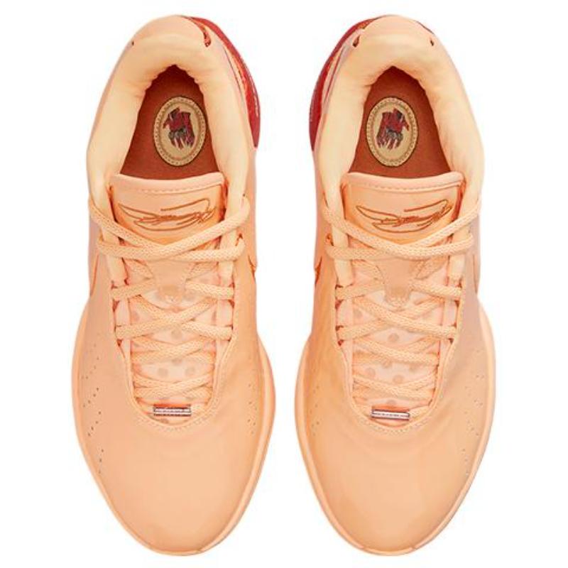 Nike Кроссовки Lebron 21 Ep 'Melo Tint' FV2346-800