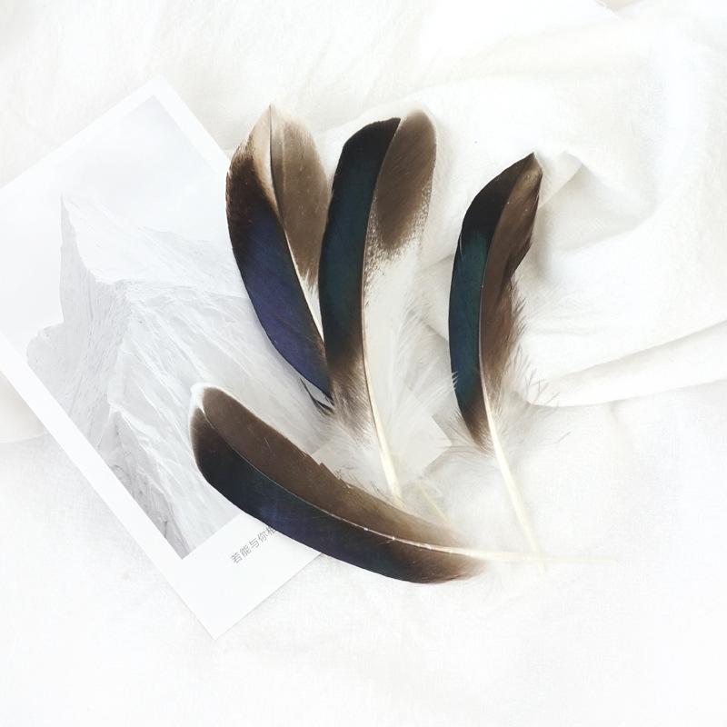 Primary Color Pheasant Hair Duck Feathers Handicrafts Indian Headdress Decorative Materials