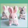Soft And Cuddly Rabbit Plush Toy Keychain Ideal For Bags And Car Hangings