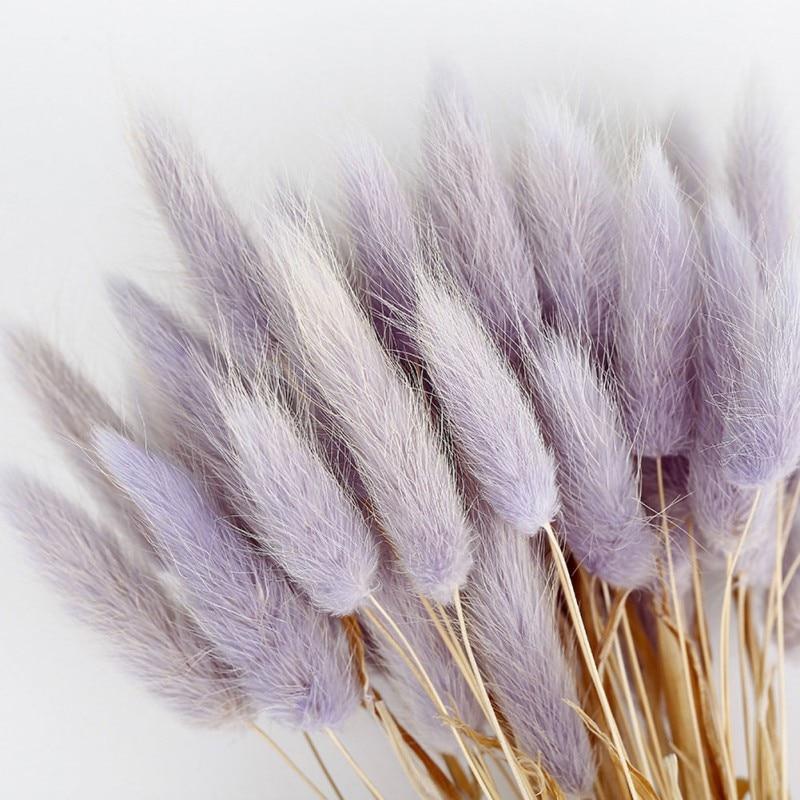 50pcs Dried Rabbit Tail Grass Flowers Artificial Plant Wedding Party