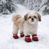 4 шт./комплект Противоцарапающие хлопковые ботинки для собак Теплые снегоступы для собак Модные нескользящие ботинки для собак Для улицы
