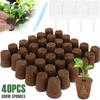 40Pcs Seed Grow Sponges Garden Hydroponic Seedling Starter Sponges with Plant Labels & Tweezers Replacement Root Growth Sponges