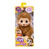 Little Live Pets Мой Малыш S3 Мини Обезьянка Одиночная Упаковка ПепиПич