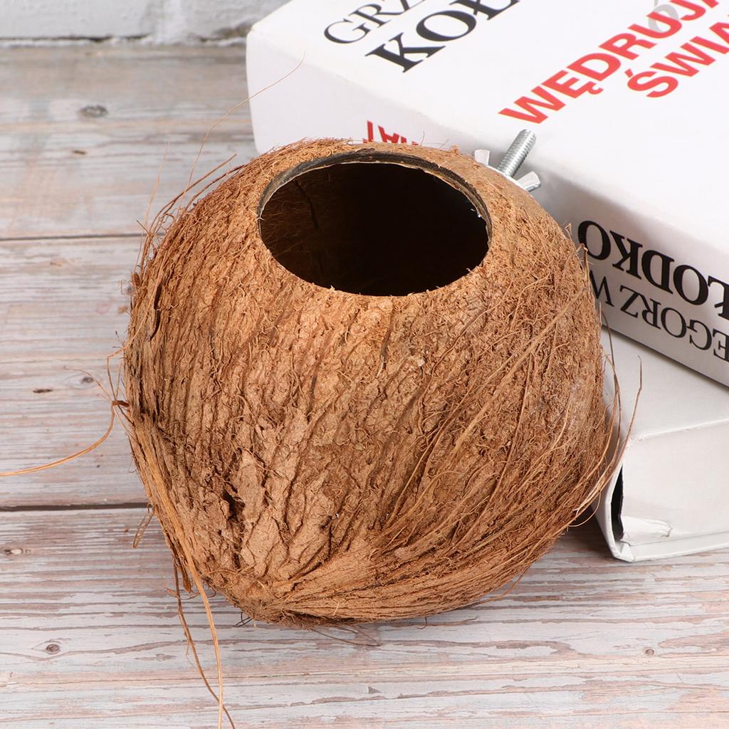 Brown Coconut Shell Bird Nest Wide Entrance Style Birds Hut Bed Outdoor Garden Balcony Birds House Bird Nest