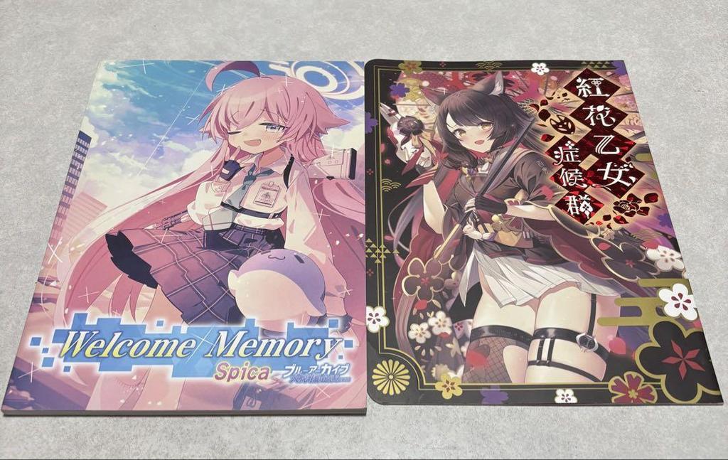 [Б/У] Использованная Пекора holoX Blue Archive Додзинси