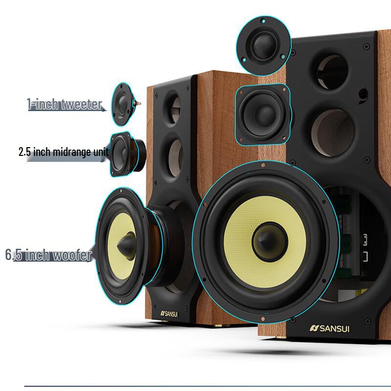 Sansui S880 HiFi 2.0 Home KTV Audio System