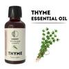 Thyme Essential Oil – Pure Aromatherapy Oil for Diffuser & Massage