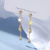Star Tassel Earrings for Women for Summer Small Earrings for Women for Exquisite Earrings for Women for Summer Earrings Fairy Earrings