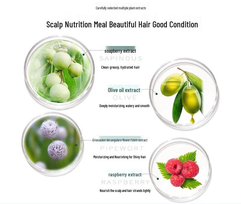 Seeyoung Tea Seed Hydrating Oil Control Shampoo