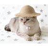 Аксессуары для одежды для домашних животных Шляпа для питомца Кошачья соломенная шляпа Собачья маленькая собака Соломенная шляпа Ручная работа Шляпа от солнца