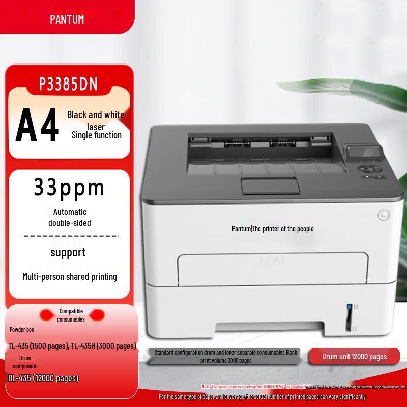 Pantum P3385DN A4 Monochrome Laser Printer CN plug (adapter included)