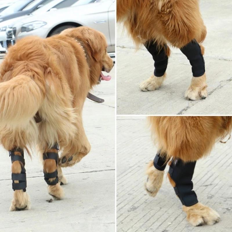 Classic Pet Dog Bandages Dog Injurie Leg Knee Brace Strap Protection for Dogs Joint Bandage Wrap Doggy Medical Supplies Dogs Accessories