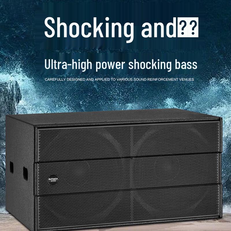 KAYOULA DY-18L 18-inch Full-Range Conference Speaker (CN version)