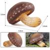 Vegetable Model Simulation Mushroom Landscape Miniatures Fungus Model  Home Decoration