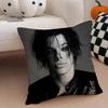 Hot Anime Punk British Singer YYungblud Cushion Cover Throw Pillow Cover Hidden Button Durable Polyester Chair Cushion