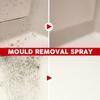 100ml Mildew Remover Spray - Anti-Mold Cleaning for Walls, Tiles & Floors | Bathroom Mould Eliminator with Odor Removal