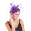 (Projector)Women Flower Mesh Ribbons Feathers Headband Cocktail Tea Party Hat Headwear