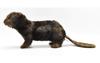 Мягкая игрушка HANSA Animal Beaver No.4274