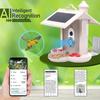 Умная камера-кормушка для птиц WIFI 1080P Автоматическая запись видео птиц и обнаружение движения Уведомления в реальном времени