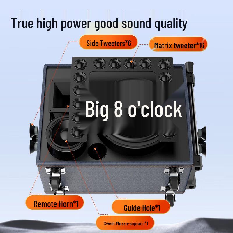 Sansui Q085 Portable KTV Bluetooth Speaker System