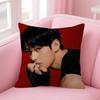 Подушка-чехол для сиденья singer Kim T-Tae-Hyung, чехол для подушки в машину 45X45 см, чехол для поясничной подушки, чехол для диванной подушки
