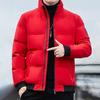 Men Down Jacket Stand Collar Long Sleeve Zipper Closure Jacket Elastic Hem Solid