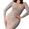 Весна 2025 г. Женское сексуальное облегающее вечернее банкетное платье в европейском и американском стиле с длинными рукавами и горячим тиснением