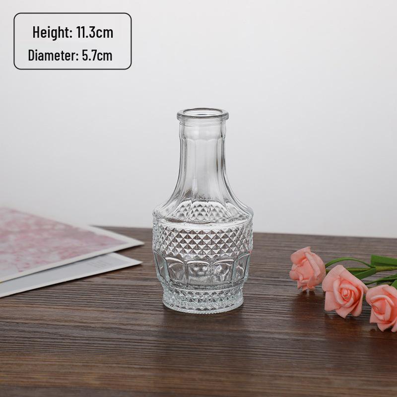 Small French Retro Glass Hydroponic Vase for Home Decor