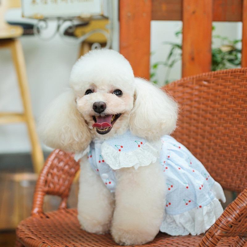 New Mailei Cherry Xiaomi Manufacturer's New Summer Clothing Teddy VIP French Doo Corgi Small Dog Dog Trouser Skirt