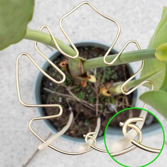 Yousheng 4Pcs Plant Pole Support Frame Надежная поддержка стебля растения Простые в использовании комнатные садовые инструменты для бонсай Monstera
