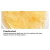 COSRX Крем Full Fit Propolis Light