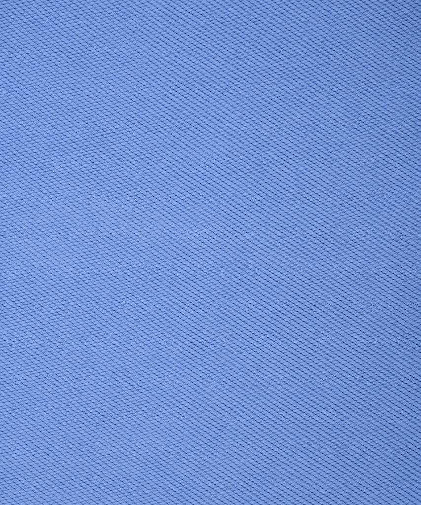 WACKY WILLY Signature Typo Logo Sweat Shorts Blue