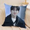 Чехол для подушки JJi CChang Wook, шелковистый, короткий плюш, двусторонний, с принтом, для дивана, все сезоны, декор для дома, подарок