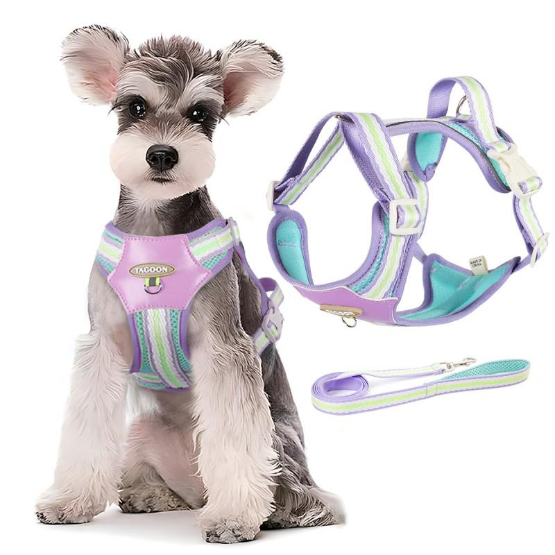 Lightweight Breathable Dog Harness With Matching Leash Small Dogs Adjustable Vest Style Multiple Colors