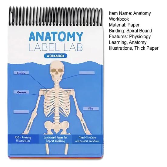 Лабораторная рабочая тетрадь по анатомии. Более 100 иллюстраций по анатомии человека. Рабочая тетрадь по изучению физиологии для студентов медицинских вузов, врачей и медсестер.