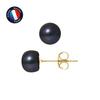 Earrings - - Genuine Black Cultured Pearls 7-8 Mm - 9 Carat Yellow Gold - 2 Year Warranty