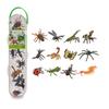 CollectA Insect Figures In Tube Gift Set (Pack of 12)