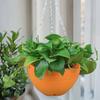 7 шт. подвесных кашпо, горшки для цветов с дренажными отверстиями и металлическими цепочками, пластиковые подвесные цветочные горшки для использования в помещении и на улице