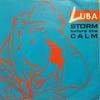 7-дюймовая пластинка LUBA - Шторм перед затишьем / Частная война B72959 Capitol Records 1984 Канада Танцевальная и Электронная Б/У