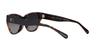 Sunglasses HC8370F CH660 TORTOISE GRADIENT POLAR Lens 56 [Coach] BLACK/DARK Frame/GREY