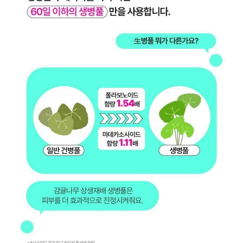 BRING GREEN - Солнечный кушон с чайным деревом и центеллой для выравнивания тона