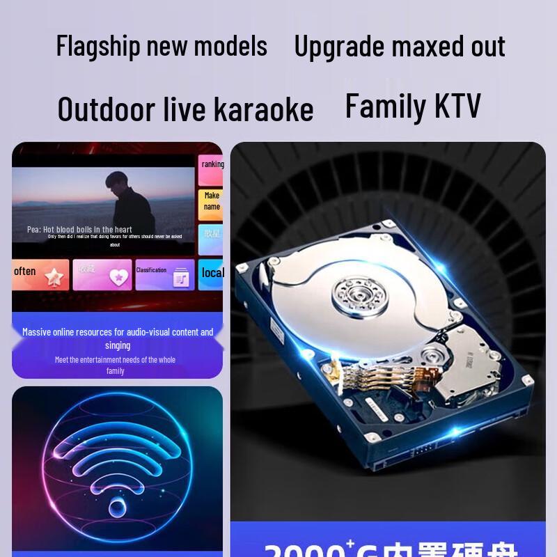 Sansui C2 Home & Outdoor KTV Speaker System