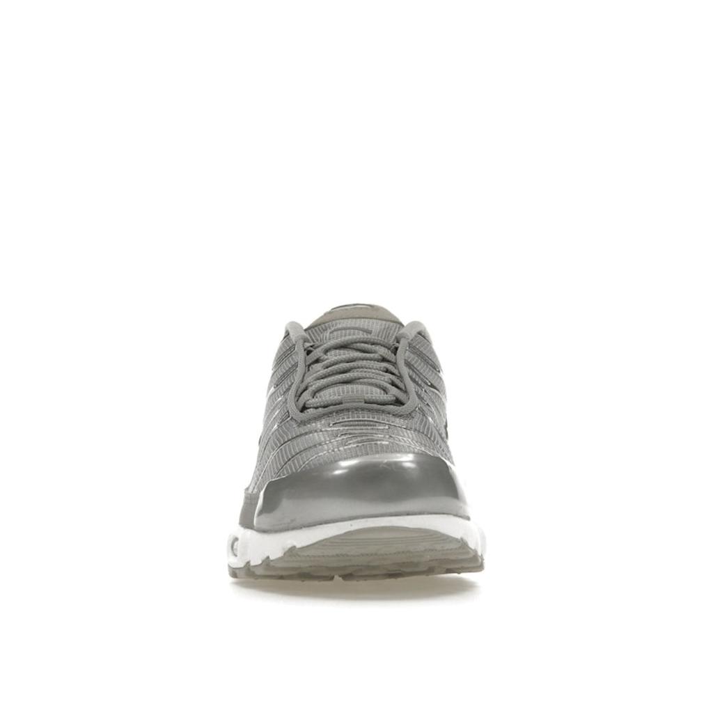 Nike Кроссовки Air Max Plus Metallic Silver Unisex Grey-Fog FJ1012-095