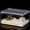 Transparent Acrylic Reptile Breeding Box for Spiders Lizards Amphibians Leakproof Pet Habitat Arboreal Wolf Spider Enclosure