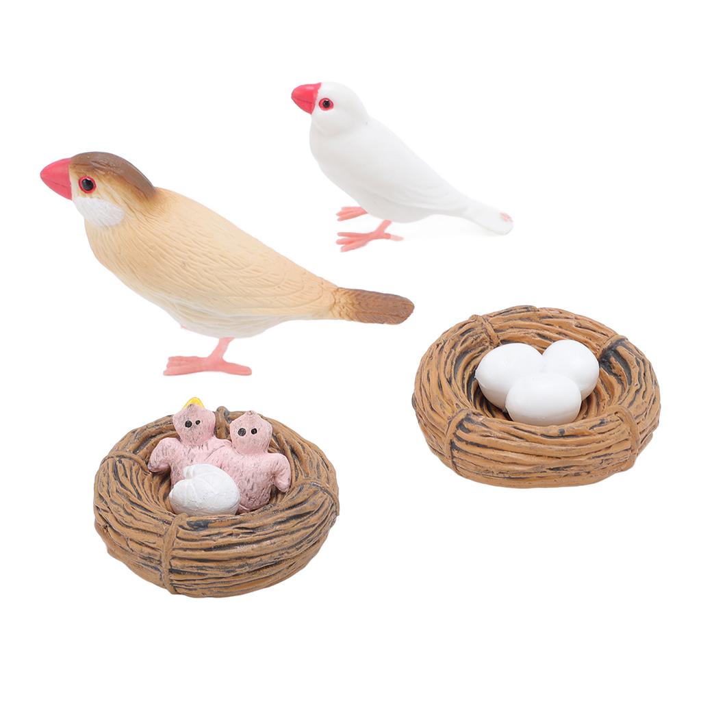 4 шт. Фигурки птиц из ПВХ для детей, реалистичные развивающие игрушки для цикла роста животных