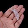 Body Wobbler Pike Zander Perch Do It Yourself For Painting 5Cm 3.6G