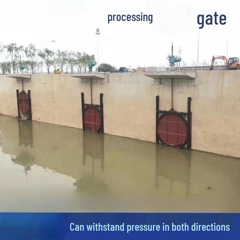 Deqier 10-Ton Hand/Electric Gate Hoist Actuator CN plug (adapter included)