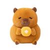 Persimmon Coin Gold Duck Capybara Plush Toy Animal Stuffed Decorations Doll
